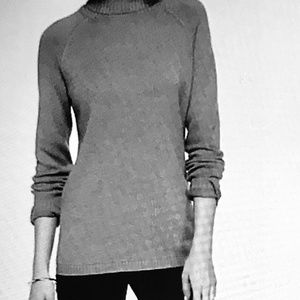 Jeanne Pierre Turtleneck Sweater